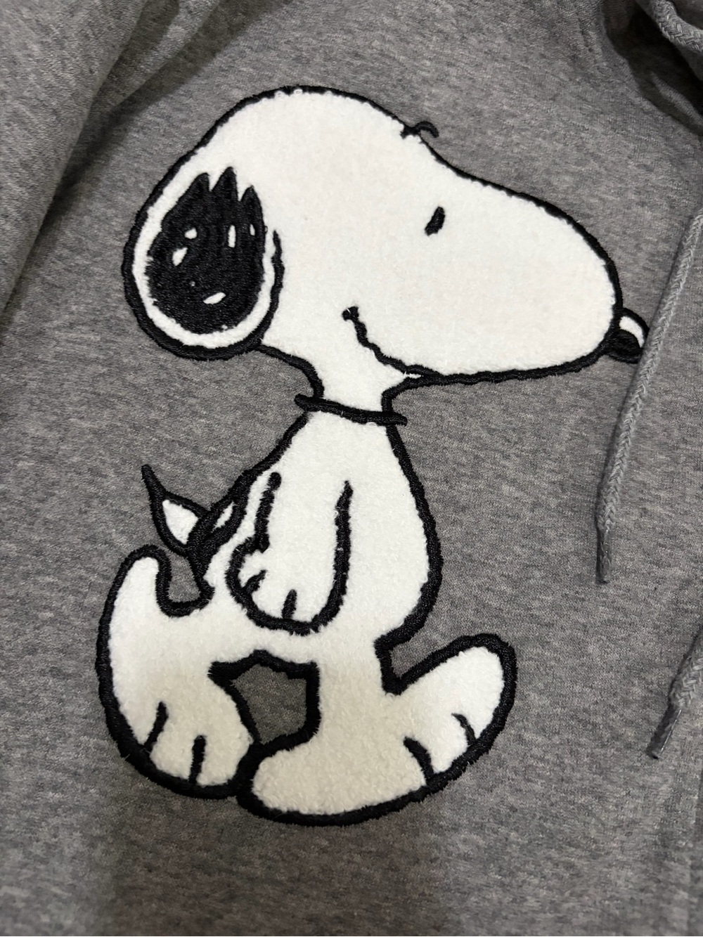 Peanuts Gray Hooded Zip-Up Jacket with Snoopy & Woodstock Patches - Picture 3 of 7